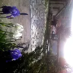 酒店 Casa Elpatiodelmaestrazgo