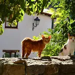 Casa Elpatiodelmaestrazgo Villarroya de los Pinares