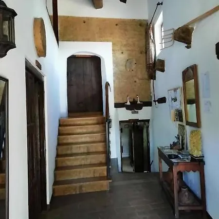 Hotel Casa Elpatiodelmaestrazgo *