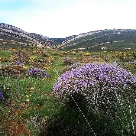 Casa Elpatiodelmaestrazgo