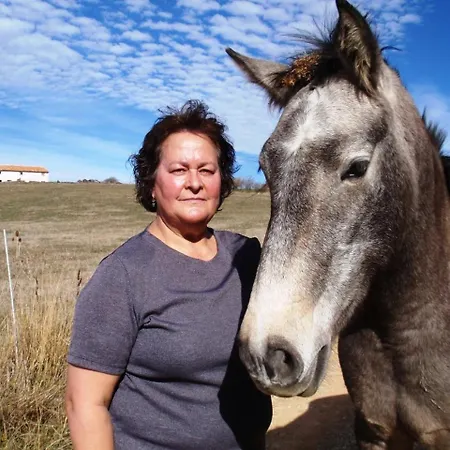 Hotel Casa Elpatiodelmaestrazgo *