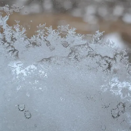 Casa Elpatiodelmaestrazgo * Villarroya de los Pinares