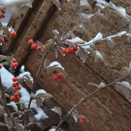 Casa Elpatiodelmaestrazgo