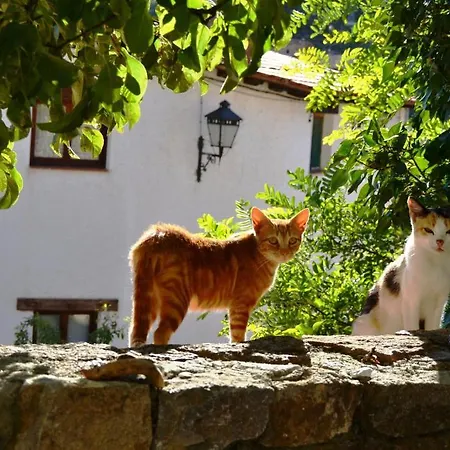 Casa Elpatiodelmaestrazgo Villarroya de los Pinares