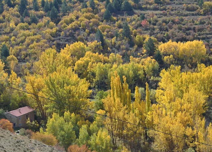 Casa Elpatiodelmaestrazgo * Villarroya de los Pinares