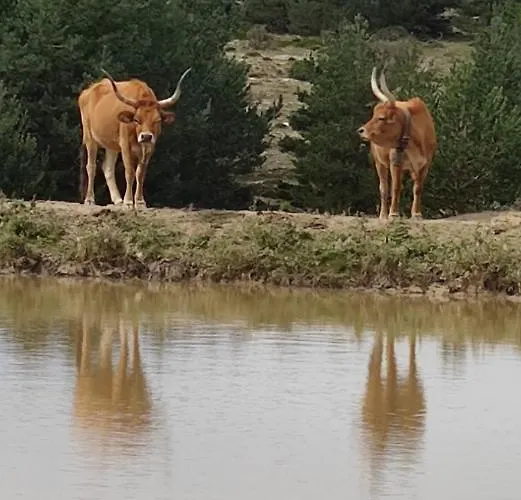 Casa Elpatiodelmaestrazgo Villarroya de los Pinares