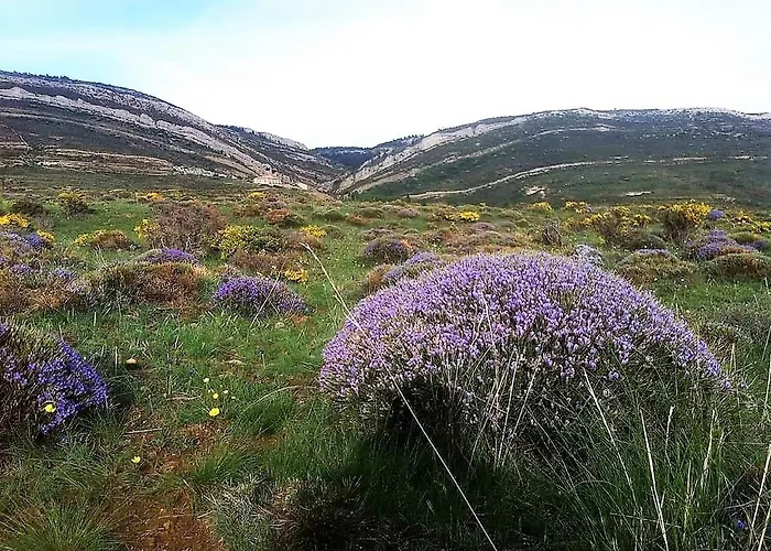 Casa Elpatiodelmaestrazgo