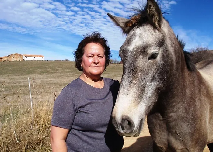 Hotell Casa Elpatiodelmaestrazgo *