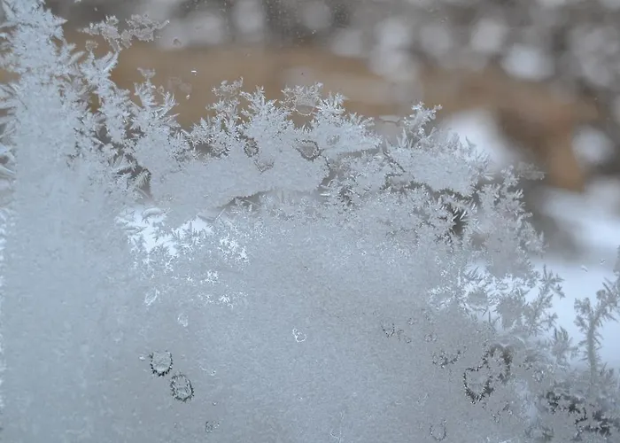 Casa Elpatiodelmaestrazgo * Villarroya de los Pinares