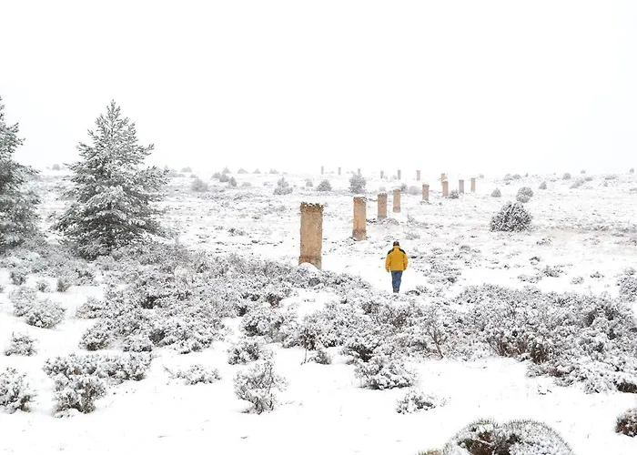 Casa Elpatiodelmaestrazgo Hotell *