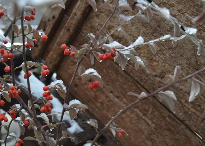 Casa Elpatiodelmaestrazgo