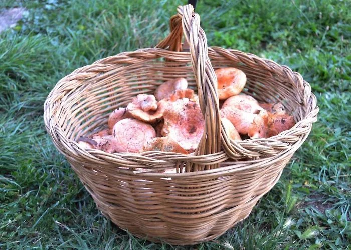 Hotell Casa Elpatiodelmaestrazgo Villarroya de los Pinares